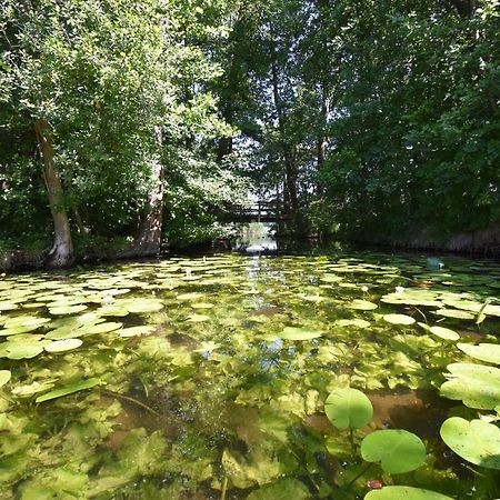 Ferienhaus-See-Sauna-Kamin-Hund Mit E-Ladestation Krakow am See Esterno foto