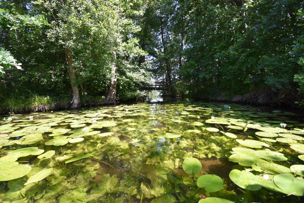 Ferienhaus-See-Sauna-Kamin-Hund Mit E-Ladestation Krakow am See Esterno foto